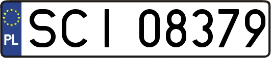 SCI08379