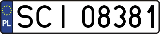 SCI08381