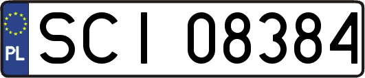SCI08384