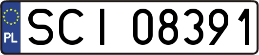 SCI08391