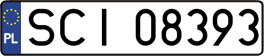 SCI08393