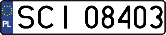 SCI08403