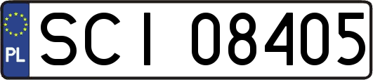 SCI08405