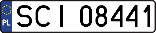 SCI08441