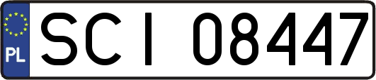 SCI08447