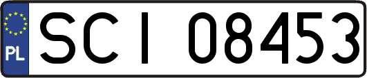 SCI08453