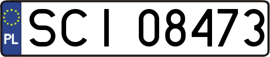 SCI08473