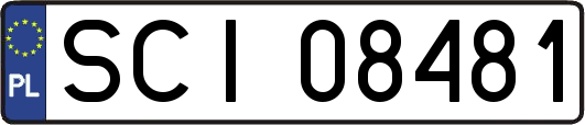 SCI08481