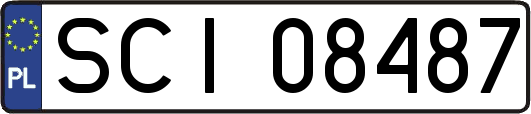 SCI08487