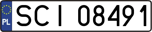 SCI08491