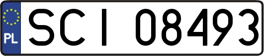 SCI08493