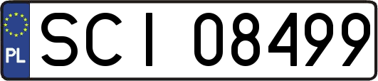 SCI08499