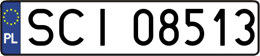 SCI08513