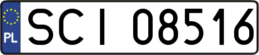 SCI08516