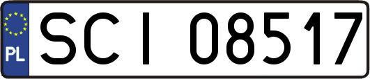 SCI08517