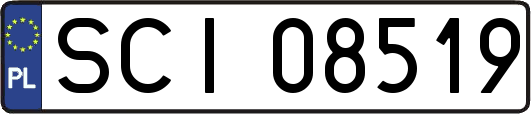 SCI08519
