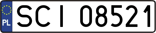 SCI08521