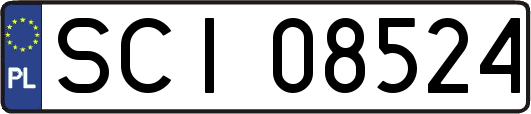 SCI08524