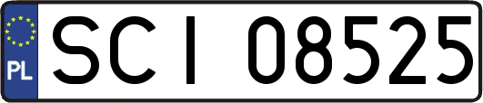 SCI08525