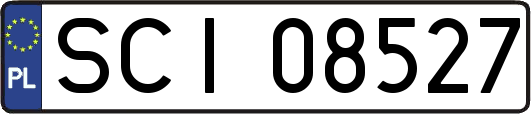 SCI08527