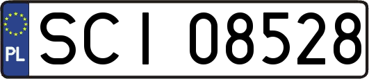 SCI08528
