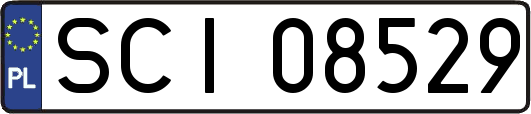 SCI08529