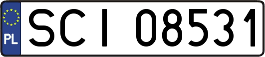 SCI08531