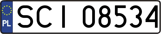SCI08534