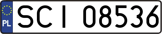 SCI08536