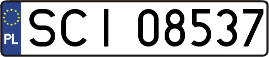 SCI08537