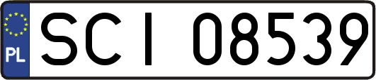 SCI08539