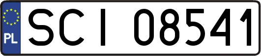 SCI08541