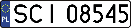 SCI08545