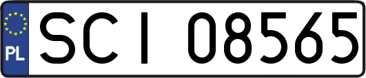 SCI08565