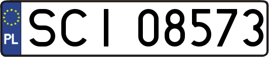 SCI08573