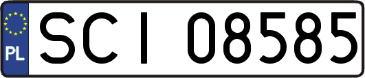 SCI08585