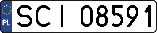 SCI08591