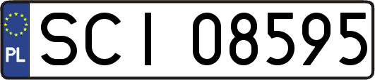 SCI08595