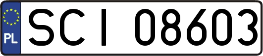 SCI08603