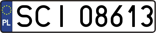 SCI08613