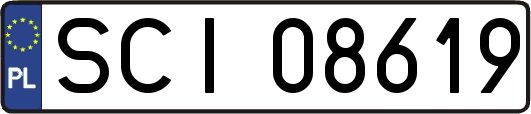 SCI08619