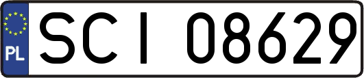 SCI08629