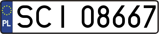 SCI08667