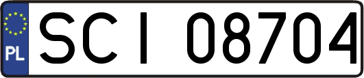SCI08704