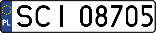 SCI08705