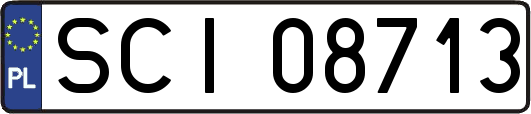 SCI08713