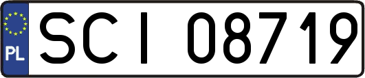 SCI08719