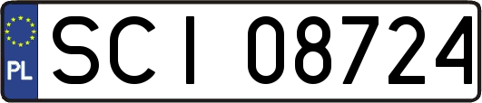 SCI08724