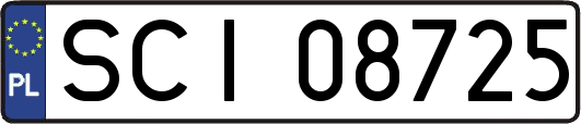 SCI08725