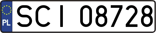 SCI08728